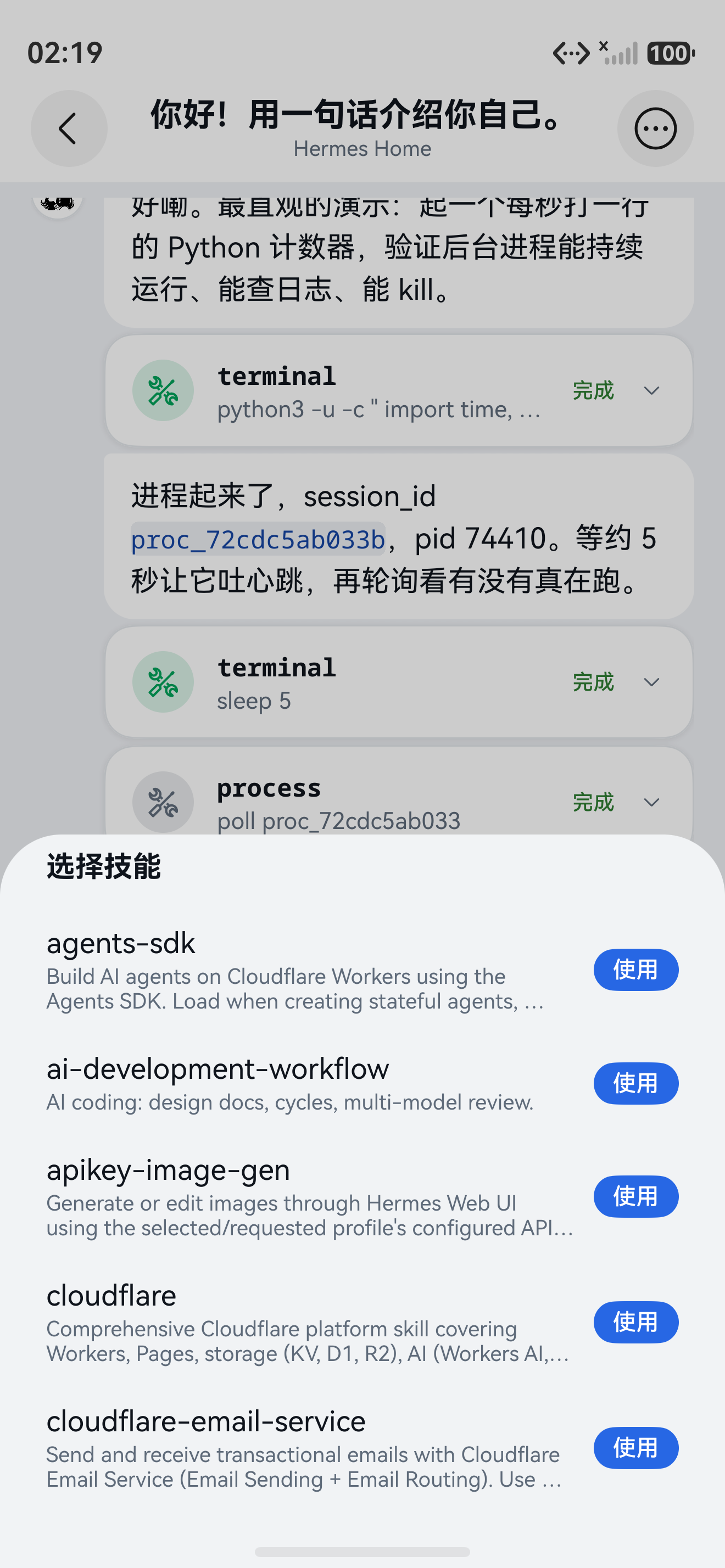 技能选择 截图